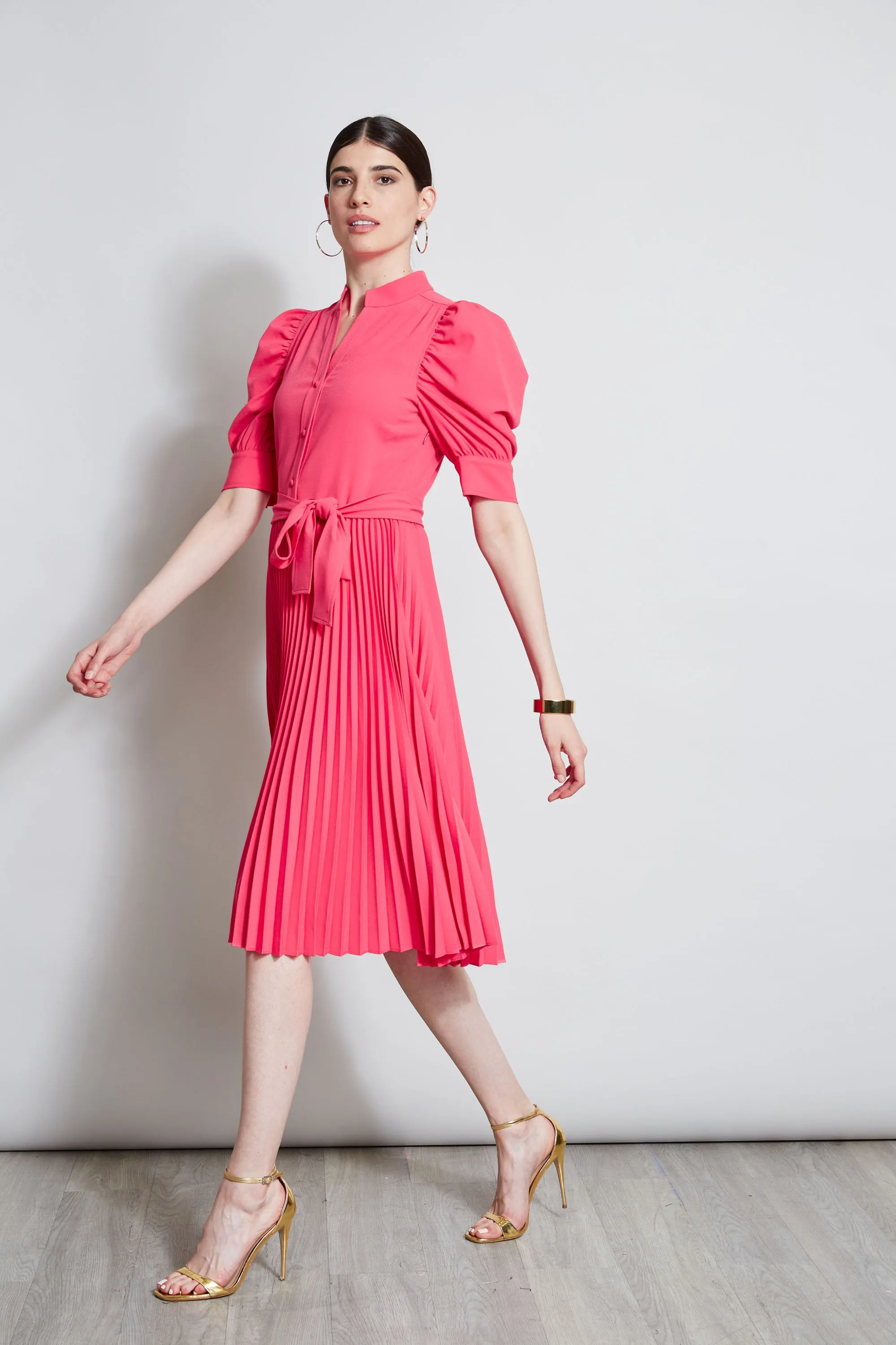 Pleated Ruched Sleeve Dress